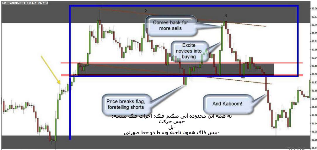 اجزای الگوی پرچم و یا فلگ