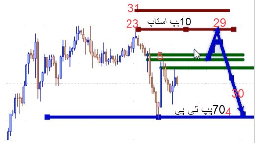 تهیه ژورنال محصولات فرکتالی 22